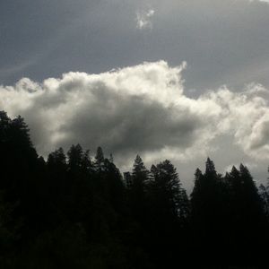 Meet your Posher, Alisha